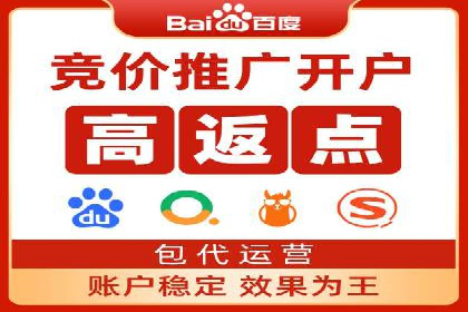 成功运用SEM服务实现品牌快速成长的案例